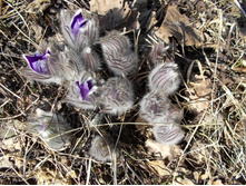 DSCN5332.JPG