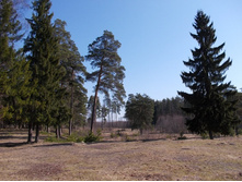 DSCN5338.JPG