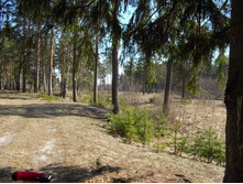 DSCN5339.JPG