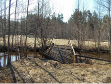 DSCN5340.JPG