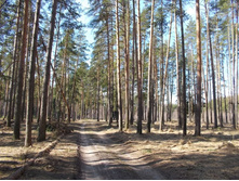 DSCN5341.JPG