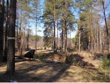 DSCN5344.JPG