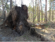 DSCN5345.JPG