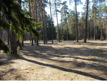 DSCN5349.JPG