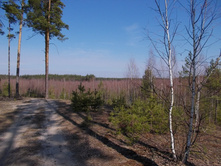 DSCN5355.JPG