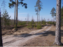 DSCN5357.JPG