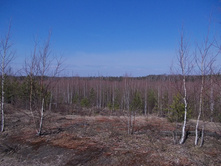 DSCN5360.JPG