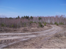 DSCN5366.JPG