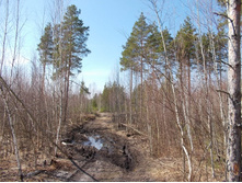 DSCN5367.JPG