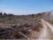 DSCN5370.JPG