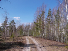 DSCN5371.JPG