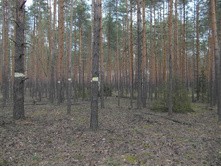 DSCN5390.JPG