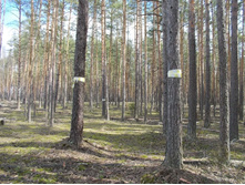 DSCN5391.JPG
