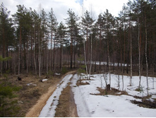 DSCN5392.JPG
