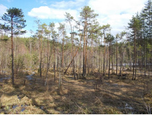 DSCN5400.JPG