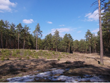 DSCN5404.JPG