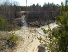 DSCN5405.JPG