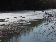 DSCN5410.JPG