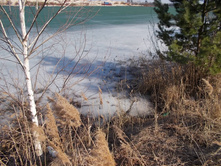 DSCN5426.JPG