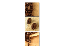 133188388975873300.png