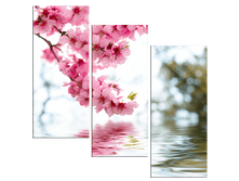 ������ � ����.png