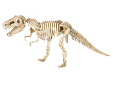 ����-����������� ����������� T-Rex.jpg