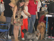 1-IMG_0038.JPG