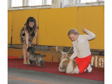 1-IMG_0043.JPG