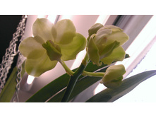 14.04.2014 16:12:10