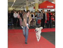 1-IMG_0058.JPG