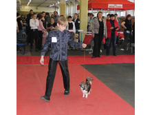 1-IMG_0059.JPG