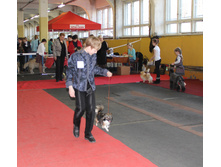 1-IMG_0060.JPG