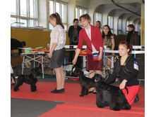 1-IMG_0089.JPG