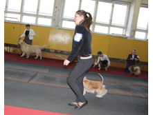 1-IMG_0091.JPG
