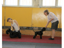 1-IMG_0095.JPG