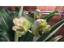 14.04.2014 16:26:47