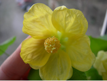 DSCN8519.JPG