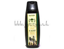 sr-vo%20alepo[1].jpg