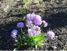 2013-05-07 08.18.42.jpg