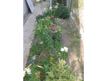 2013-07-11 15.48.18.jpg