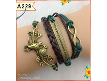 A229.jpg