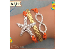 A231.jpg