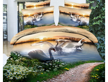 tanets-lebedej-hcy0711-1mn.jpg