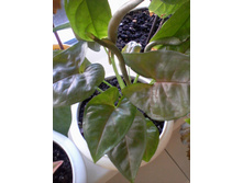 ����-0084.jpg