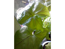 ����-0079.jpg
