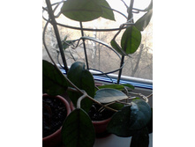 ����-0070.jpg