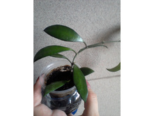 ����-0069.jpg