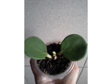 ����-0064.jpg