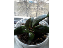 ����-0058.jpg