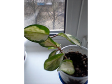 ����-0055.jpg